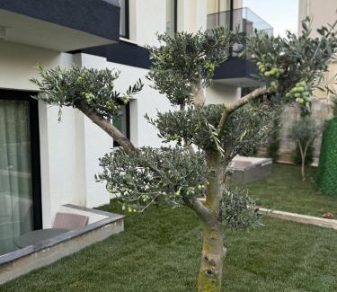 Vlore Hotel | Twins Hotel Vlore
