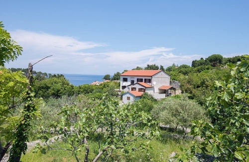 Veli Losinj Apartamento | Two bedroom apartment with air-conditioning Veli Losinj, Losinj (A-19799-a)