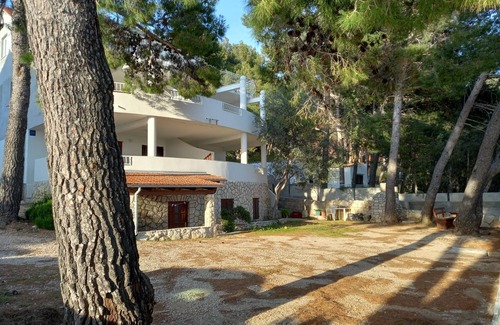 Ivan Dolac Apartamento | Apartamento para dos personas en la playa Ivan Dolac, Hvar (A-21269-b)