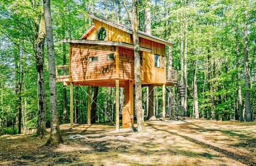 Springvale Cabina | The Canopy Treehouse, a Luxury Carbon Free Retreat