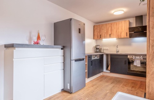 Itter Apartamento | Two modern holiday flats on the farm, ski-out