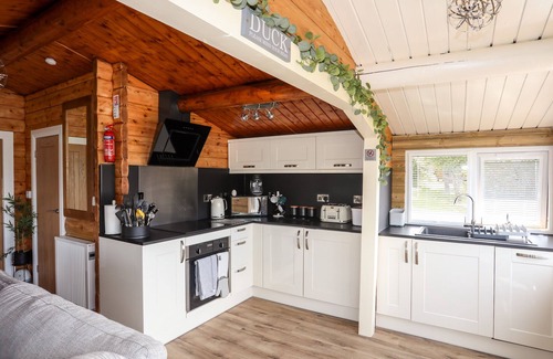 Bronaber Cabaña | TY COED - 63, pet friendly, character holiday cottage in Trawsfynydd