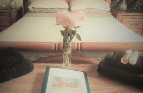 Radyr and Morganstown Cama Y Desayuno | Ty Mynydd Lodge