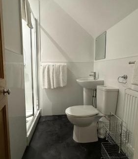 Rhayader Cama Y Desayuno | Ty Penbont House