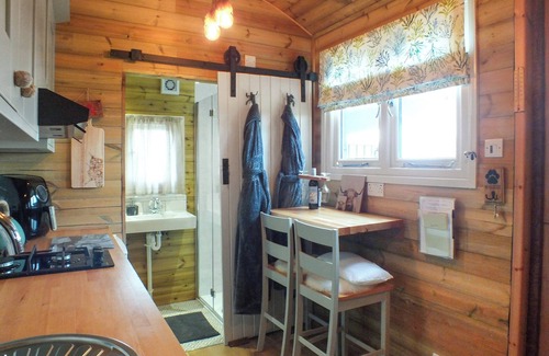 Talybont Cabaña | Ty'r Bugail Shepherds Hut