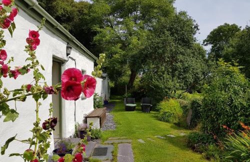 Bodorgan Casa | Tyn Llan