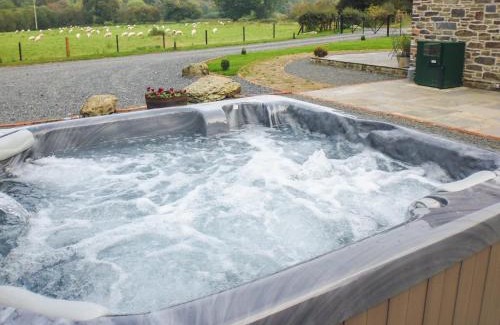 Llanbadarn Fynydd Casa | Tynddol Barn