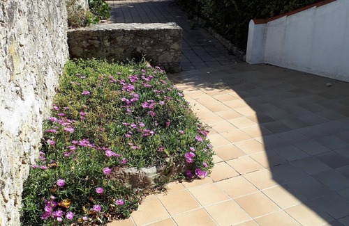 La Gueriniere Casa | Casa típica en terraza y parking Noirmoutier, playa a 40 metros