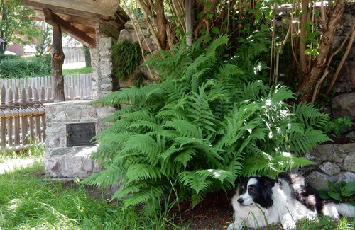 Sarentino Cabina | Typical South Tyrolean vacation cottage with garden and terrace