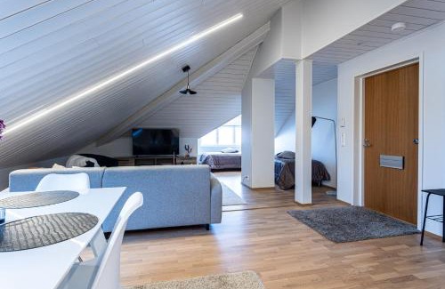 Downtown Kuopio Apartamento | Tyylikäs ja tilava kattohuoneisto ydinkeskustassa