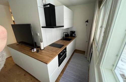 Alppiharju Apartamento | Tyylikäs yksiö Kalliossa