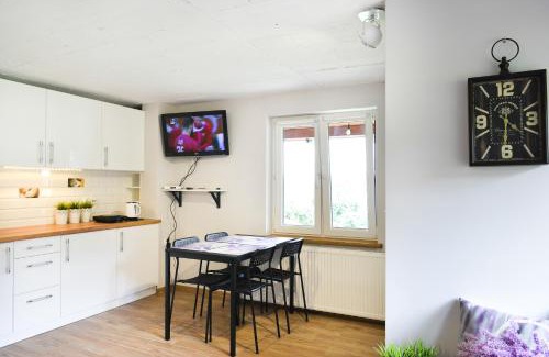 Ustrzyki Dolne Apartamento | U Bednarzy