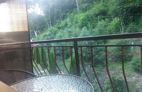Karpaty Cabina | U Lyudmily