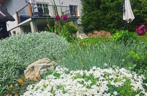 Cicmany Apartamento | U nás Čicmany