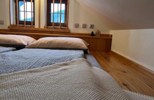 Paseky nad Jizerou Casa | Ubytování Monika