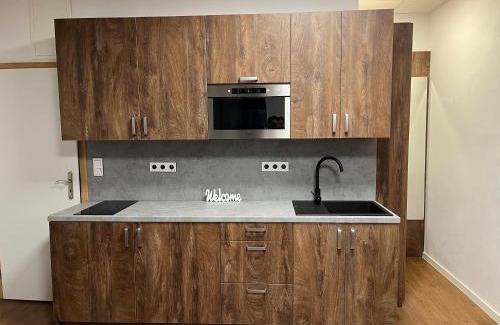 Pilsen Apartamento | Ubytování No.2 Tajemství Lucy