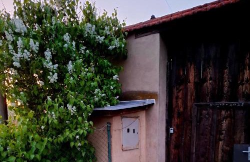 Hladke Zivotice Apartamento | Ubytování poblíž Ostravy
