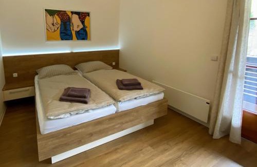 Velke Karlovice Apartamento | Ubytování Polanský Dvůr
