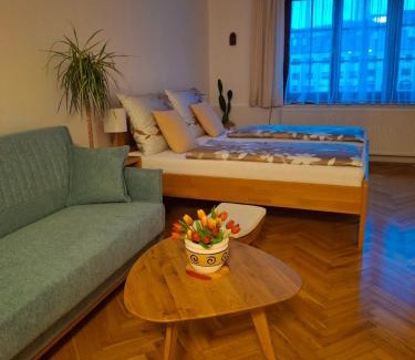 Nachod Apartamento | Ubytování u lípy
