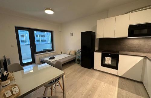 Brno-stred Apartamento | Ubytování v centru Brna u hlavního nádraží s garáží