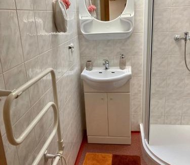 Roztoky u Jilemnice Apartamento | Ubytování v podkroví