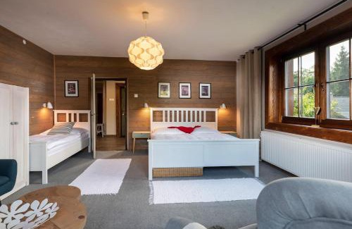 Jamnik Apartamento | Ubytovanie pod Homôlkou