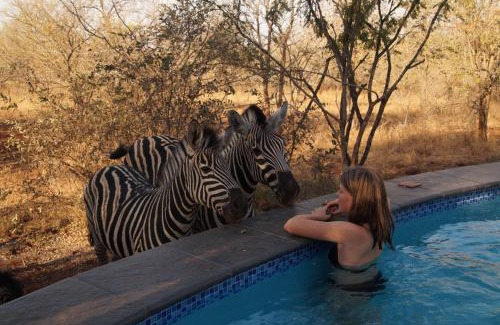 Marloth Park Casa | Uchawi wa Afrika
