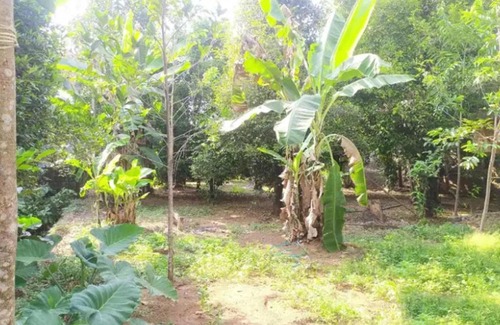 Bhubaneshwar Casa | Udarsh Lodge Odisha