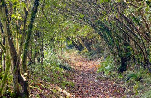 Sticklepath Casa | Uk45543-The Threshing Barn
