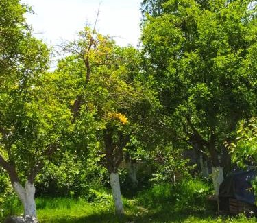 Issyk-Kul Region Casa | Ular guest house