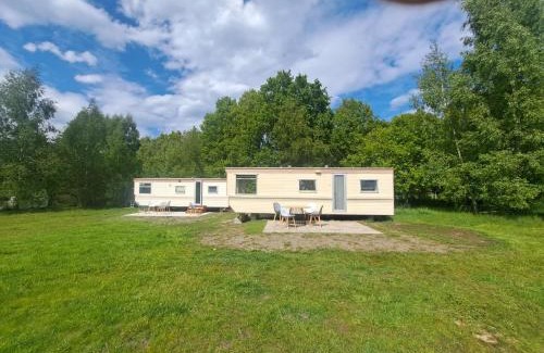 Sarbsk Casa | Ulinia Wilcza 4 beżowy