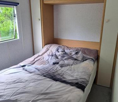 Sarbsk Casa | Ulinia Wilcza 4 beżowy