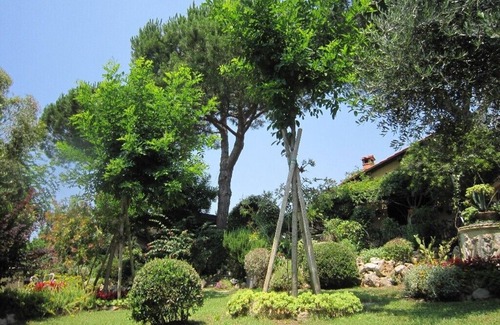 Rosignano Marittimo Villa | Olivo de Luschi en Castiglioncello - Toscana