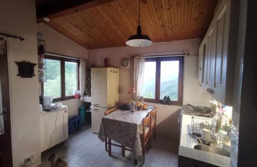 Berzi Casa | Ultimate Tranquillity and Relaxation