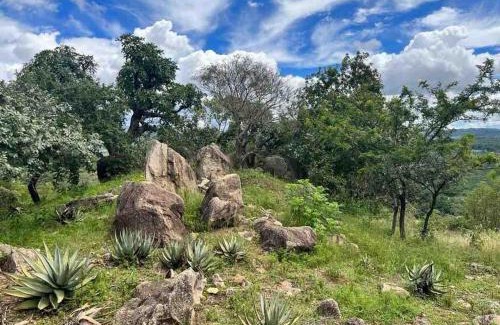 Nelspruit Villa | Ultra luxury in the Wild