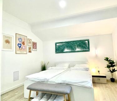 Tirgu Mures Apartamento | Ultracentral modern city view apartment