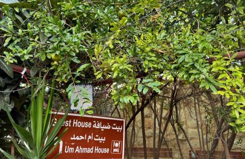 Ajloun Governorate Apartamento | Um Ahmad House
