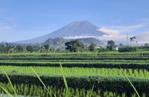 Karangasem Otro | Uma Buug