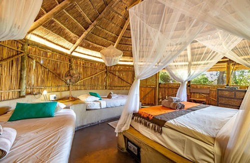 Thorny Bush Game Reserve Cabina | Umlani Bushcamp - Lodge