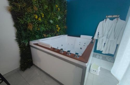 Meusnes Casa | Un amour passionnel,love room,15 min du zoo,balnéo XL privatisée et disponible toute l'année ,piscine couverte et chauffée d'avril à fin septembre à partager avec d'autres logements et elle est privatisée de 20h à 22h