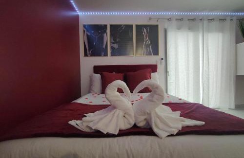 Meusnes Casa | Un amour passionnel,love room,15 min du zoo,balnéo XL privatisée et disponible toute l'année ,piscine couverte et chauffée d'avril à fin septembre à partager avec d'autres logements et elle est privatisée de 20h à 22h