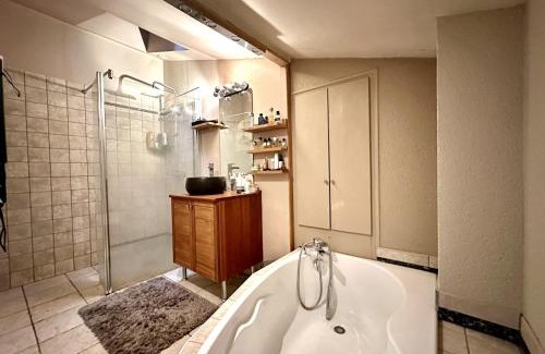 Tours City Centre Apartamento | Un bijou à découvrir