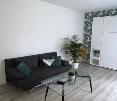 Clermont-Ferrand Casa | Un havre de paix en plein coeur de ville près Chu