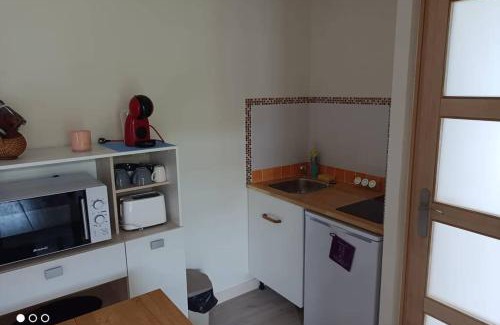 Perigueux Casa | Un paradis de verdure en plein centre ville