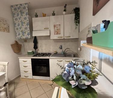 Cavriglia Apartamento | Un piede nel Chianti
