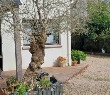Plouescat Casa | Un ptit coin de paradis chez JF et Daisy à Plouescat