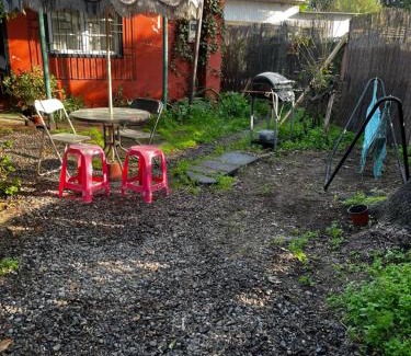 Santiago Apartamento | Un trozo de bosque en la ciudad