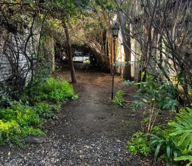 Santiago Apartamento | Un trozo de bosque en la ciudad