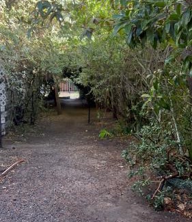 Santiago Apartamento | Un trozo de bosque en la ciudad