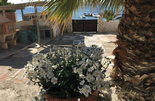 Aguilas Apartamento | Una humilde locura